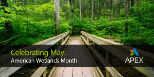 American Wetlands Month