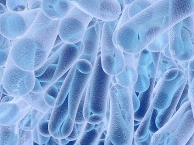 Microscopic illustration of bacteria, model of bacteria, realist