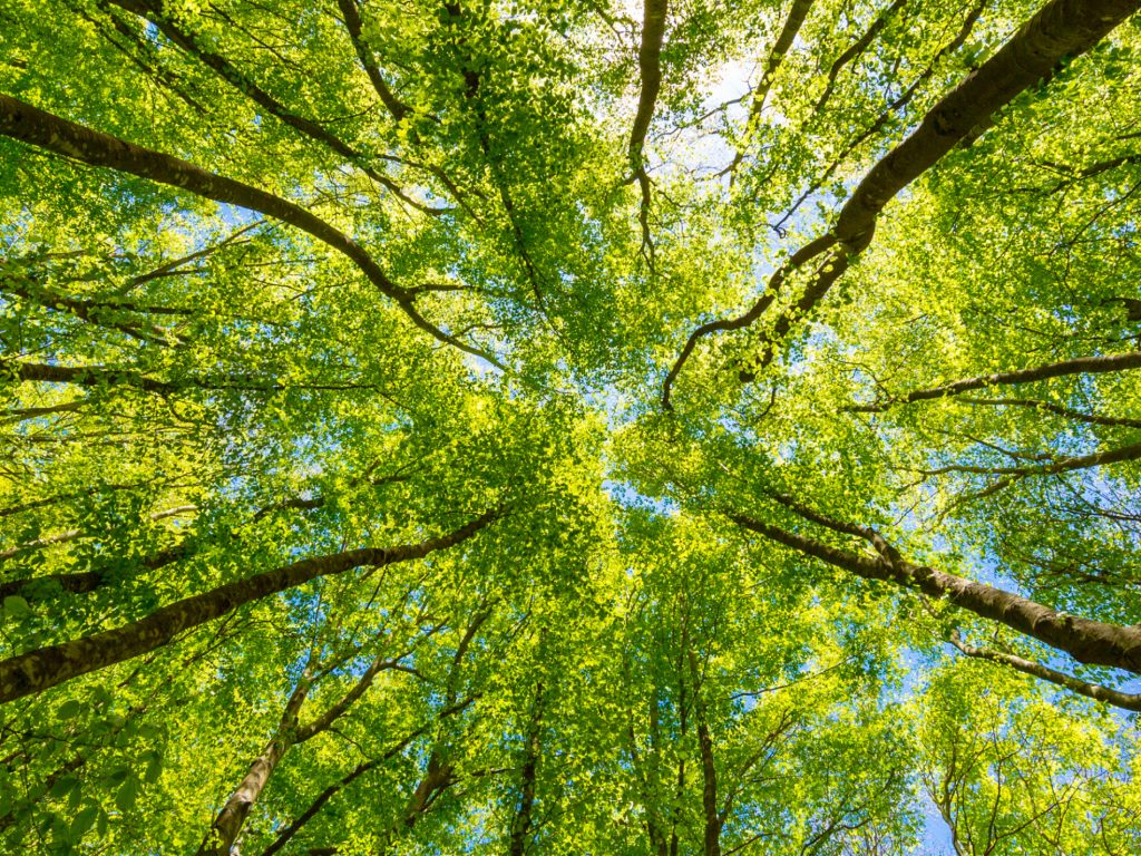 ISO 14001:2015 - Environmental management systems