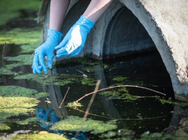 Environmental worker taking a water sample from a lake