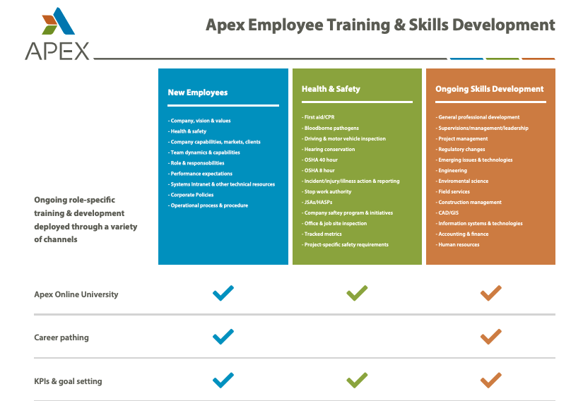 Apex employee training and skills development