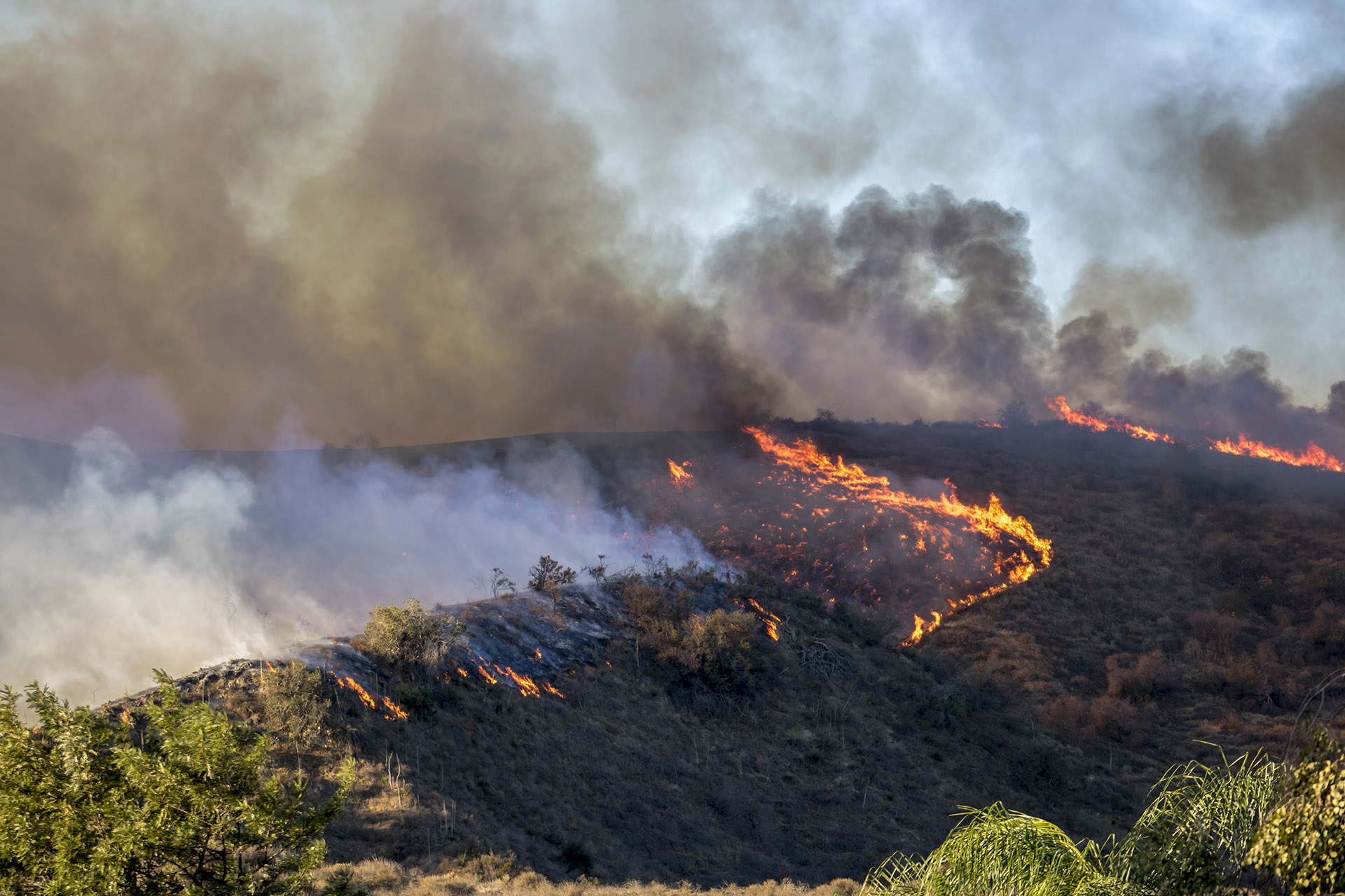 Are You Prepared for the 2021 Wildfire Season? Understand Your ...