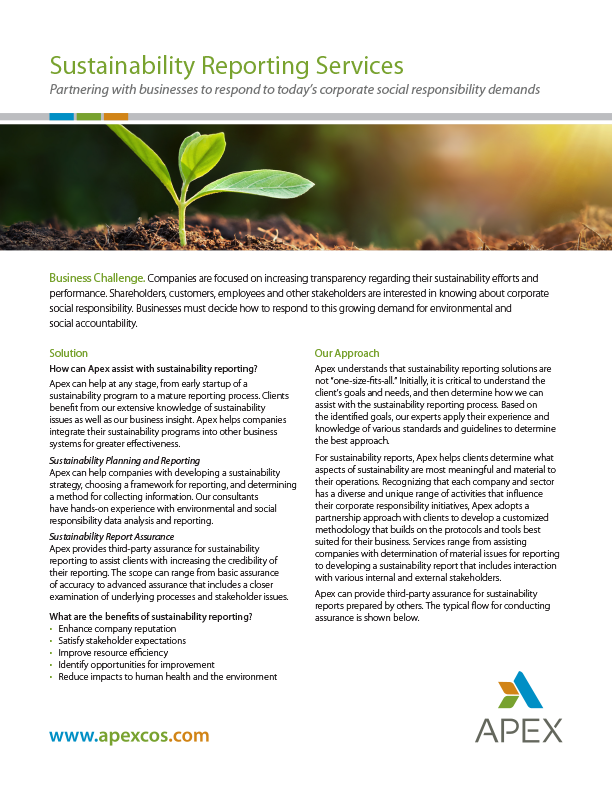 Sustainability Reporting Services