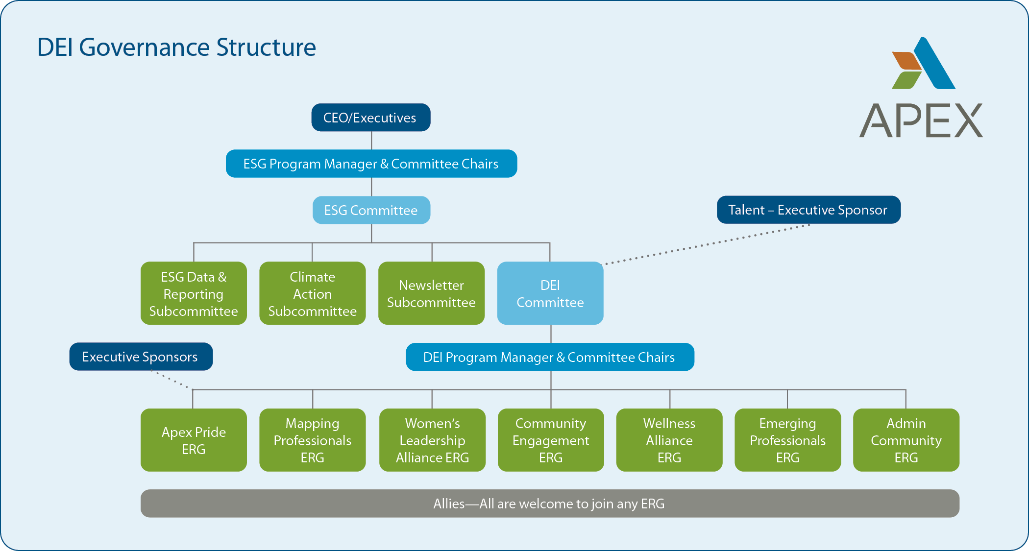 DEI Governance Structure chart organized to visualize the structure described above.