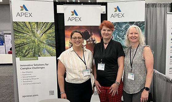 Apex team at a conference in front of display banners.