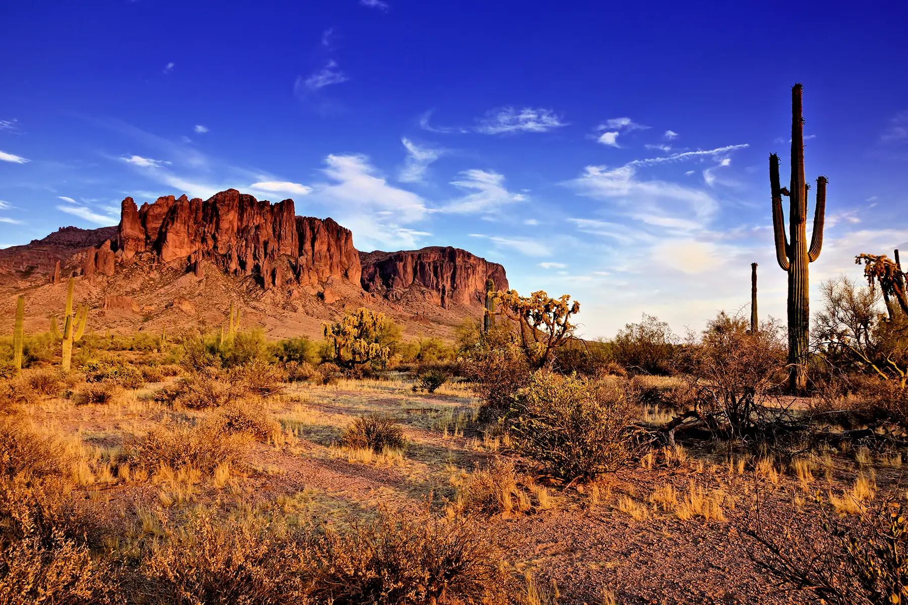 NAEM FORUM25_featured A view of the desert bordering Tucson, AZ, where Apex is attending the NAEM FORUM25 forum.