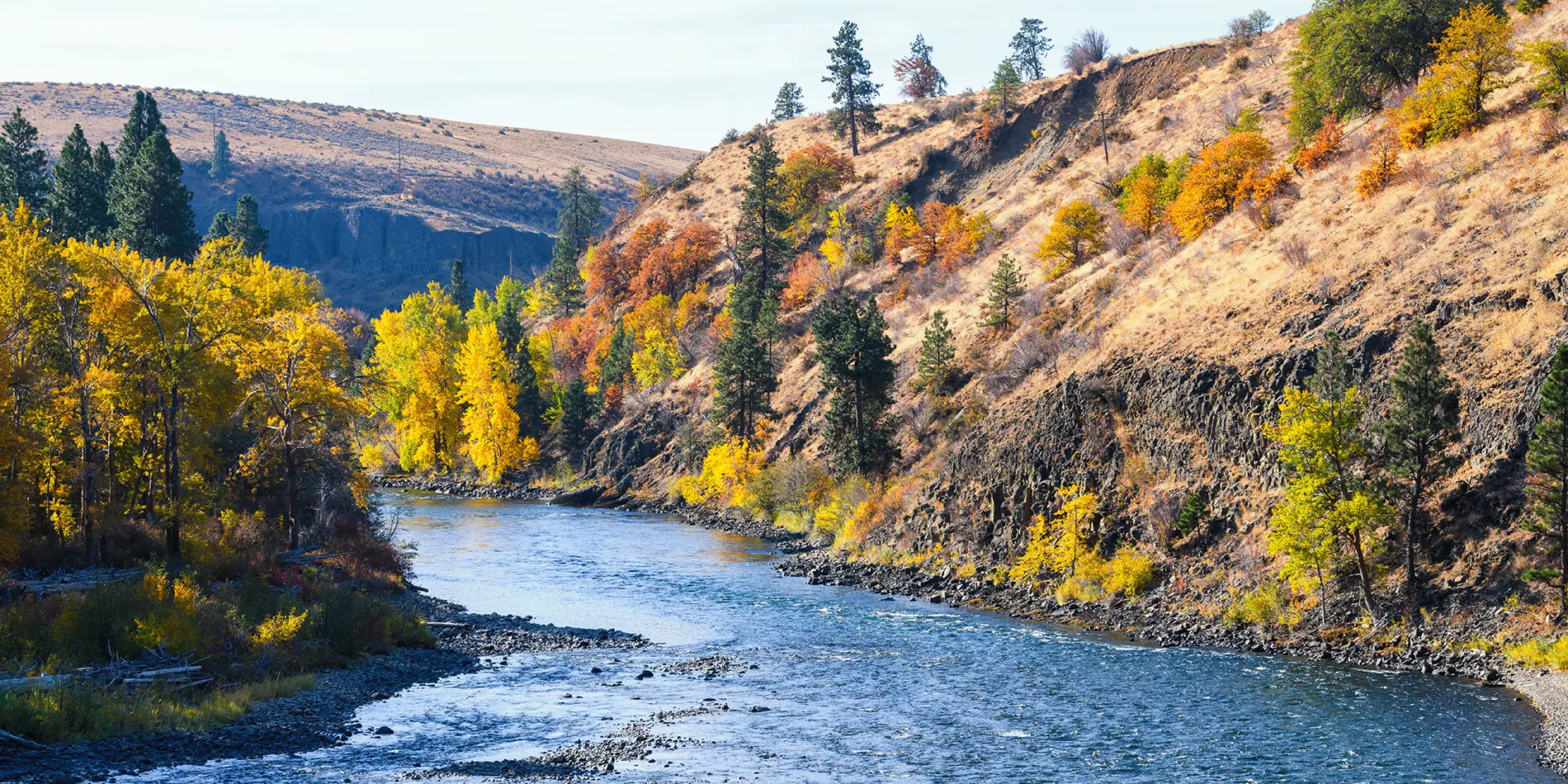 WAMOA-2025-featured A river flanked by trees with autumn colors in Yakima, WA where Apex is attending the WAMOA Fall Conference in 2025.