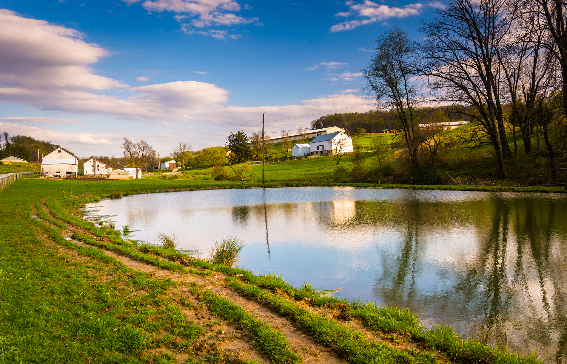 Pond on a farm in the Northeast Marcellus Shale Region.