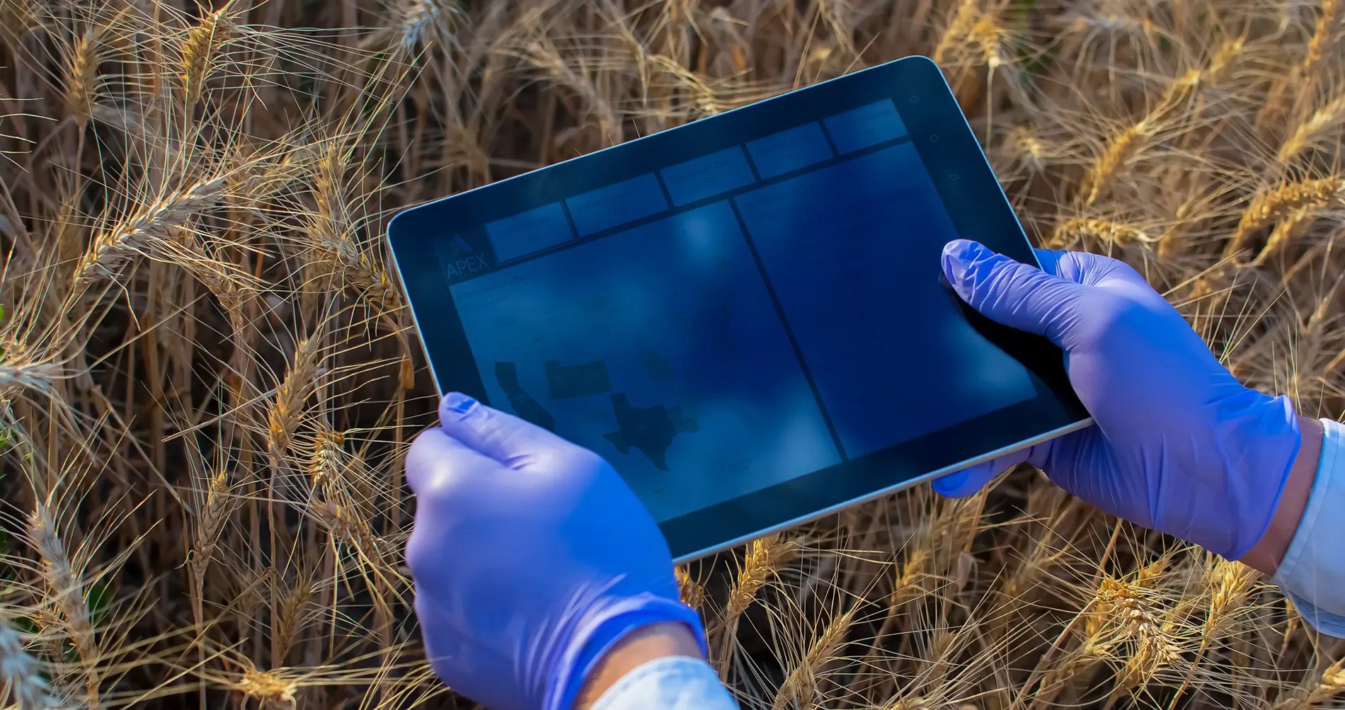 Gloved hands holding a tablet in a field, utilizing the Apex Real Time Environmental Management Information System, ARTEMIS®, to collect and manage data collection.