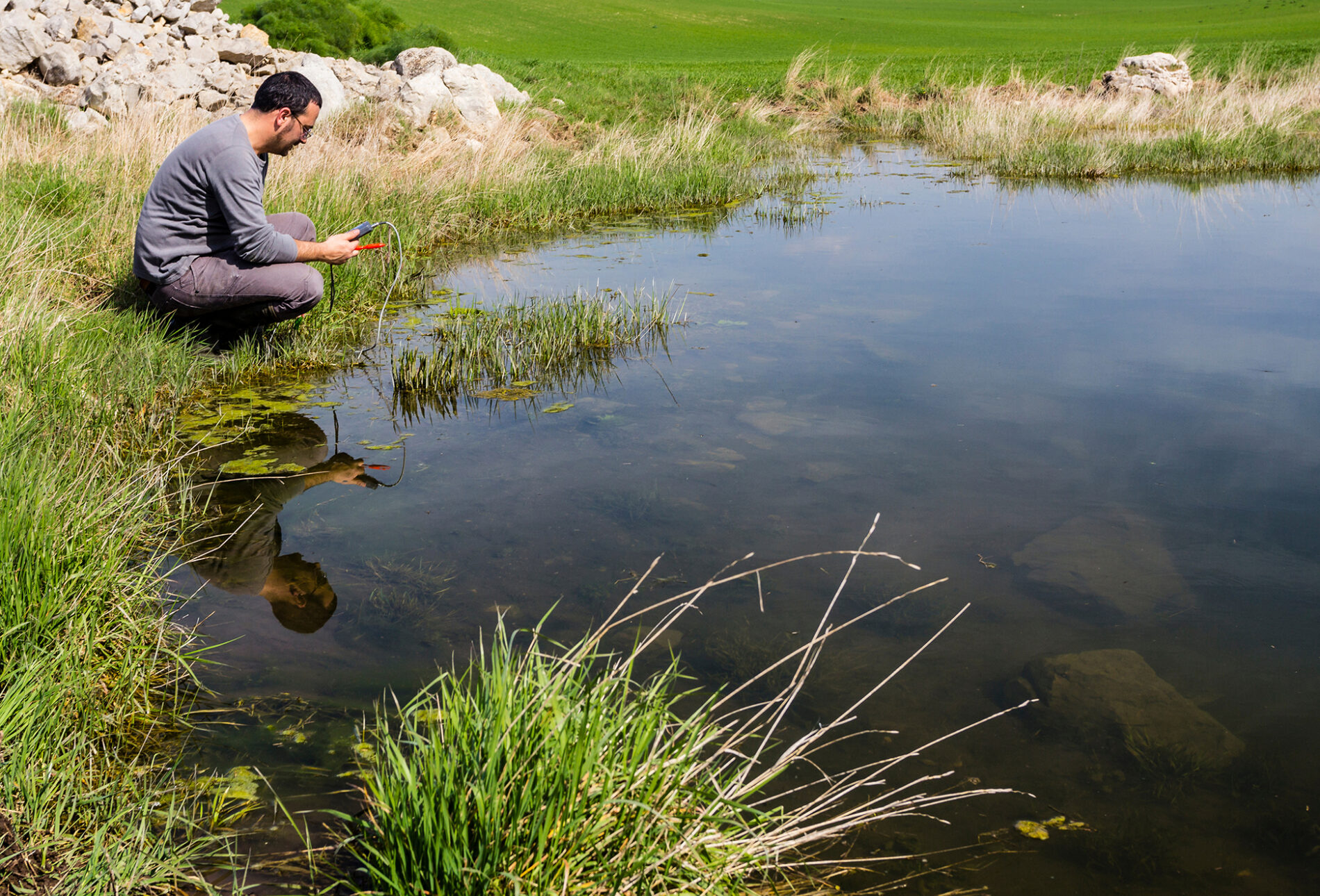 Scientist measuring environmental water quality in a wetland using a multi-parameter probe