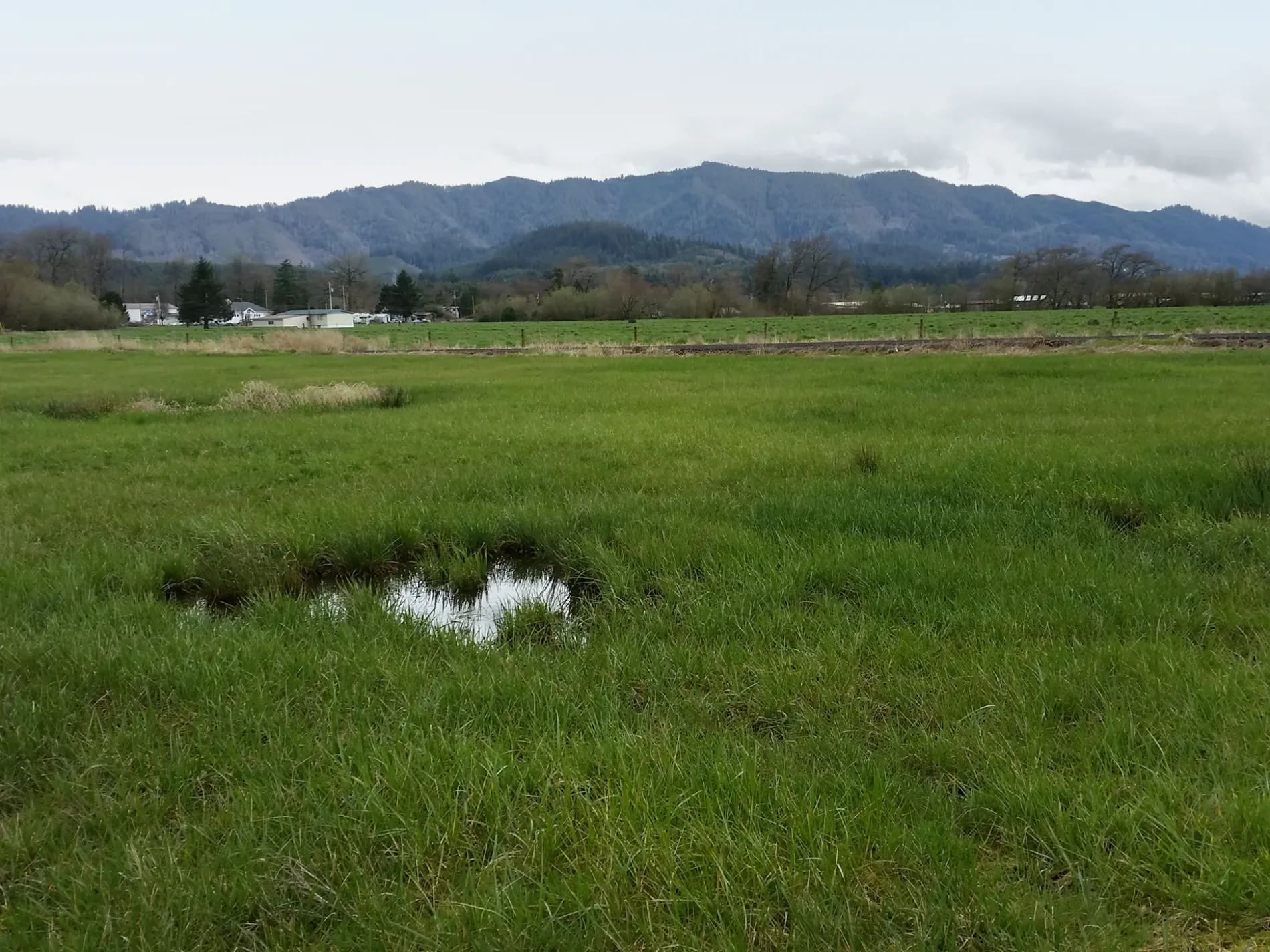 Wetlands and mountains at a site where Apex provided Comprehensive Environmental and Natural Resource Site Development Support