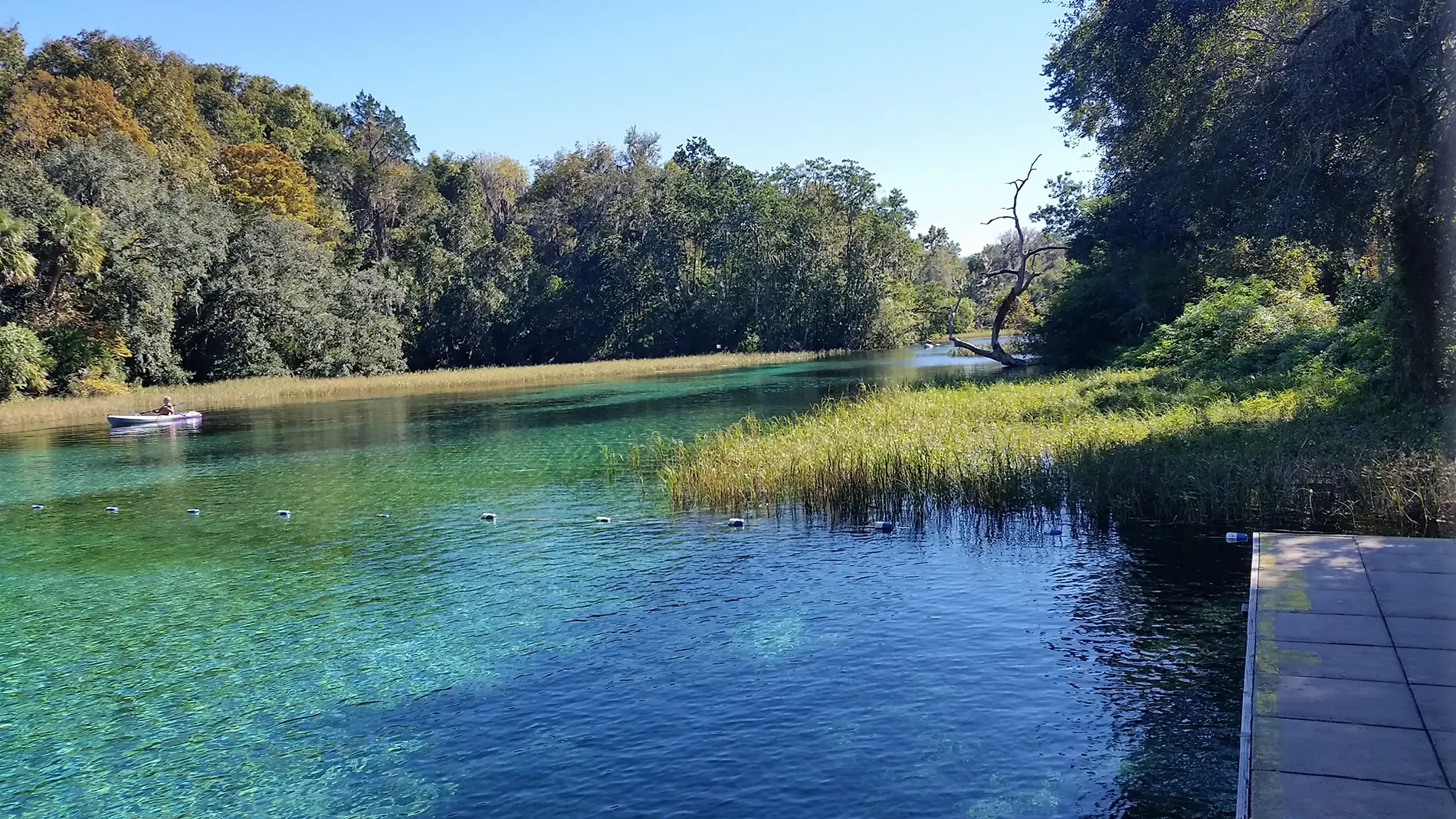 A kayaker paddling clear waters near a vent along a section of the Rainbow Springs in Marion County, Florida.
