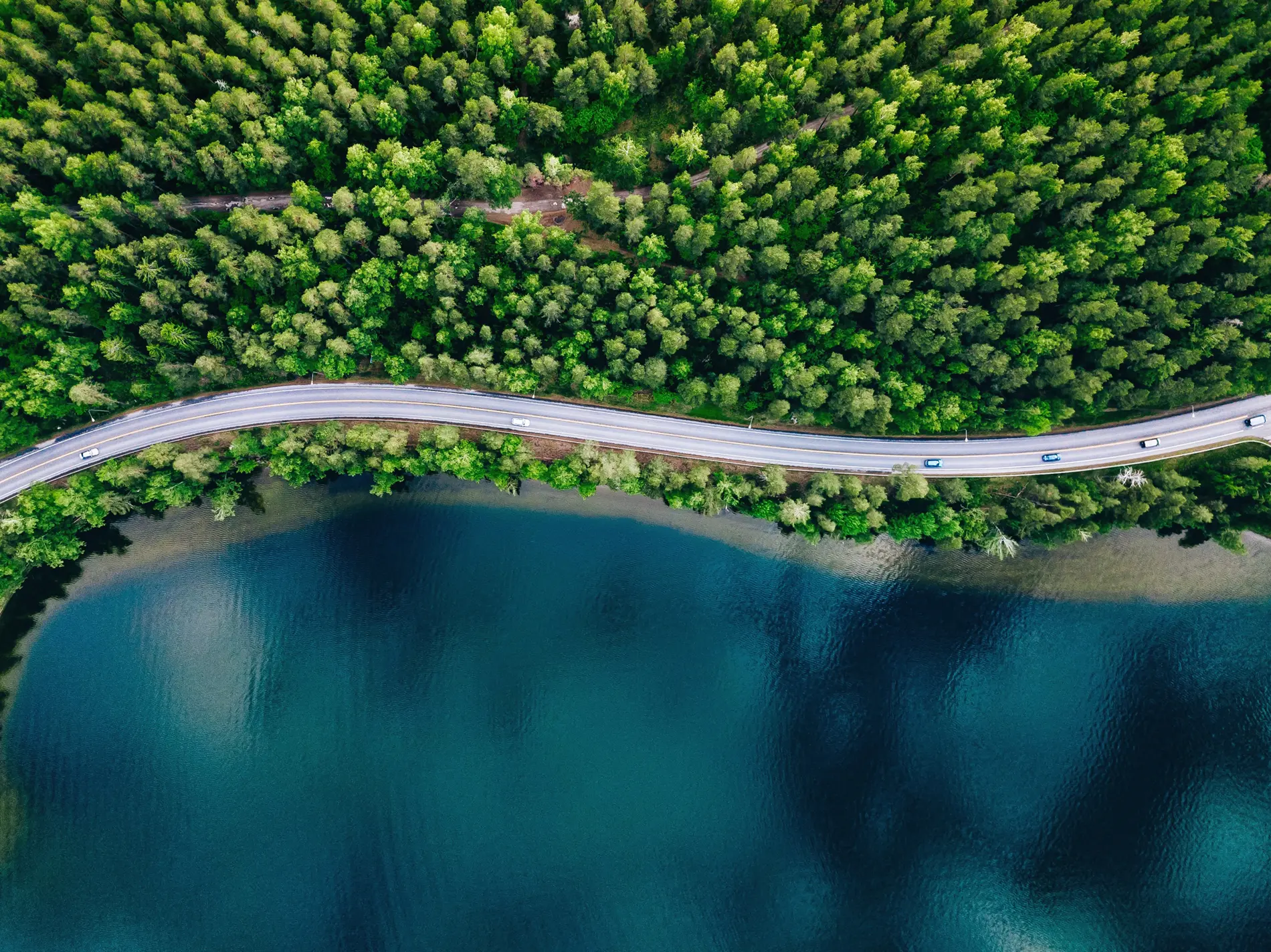 A road between a green forest and blue lake symbolizing our companies moving forward together.