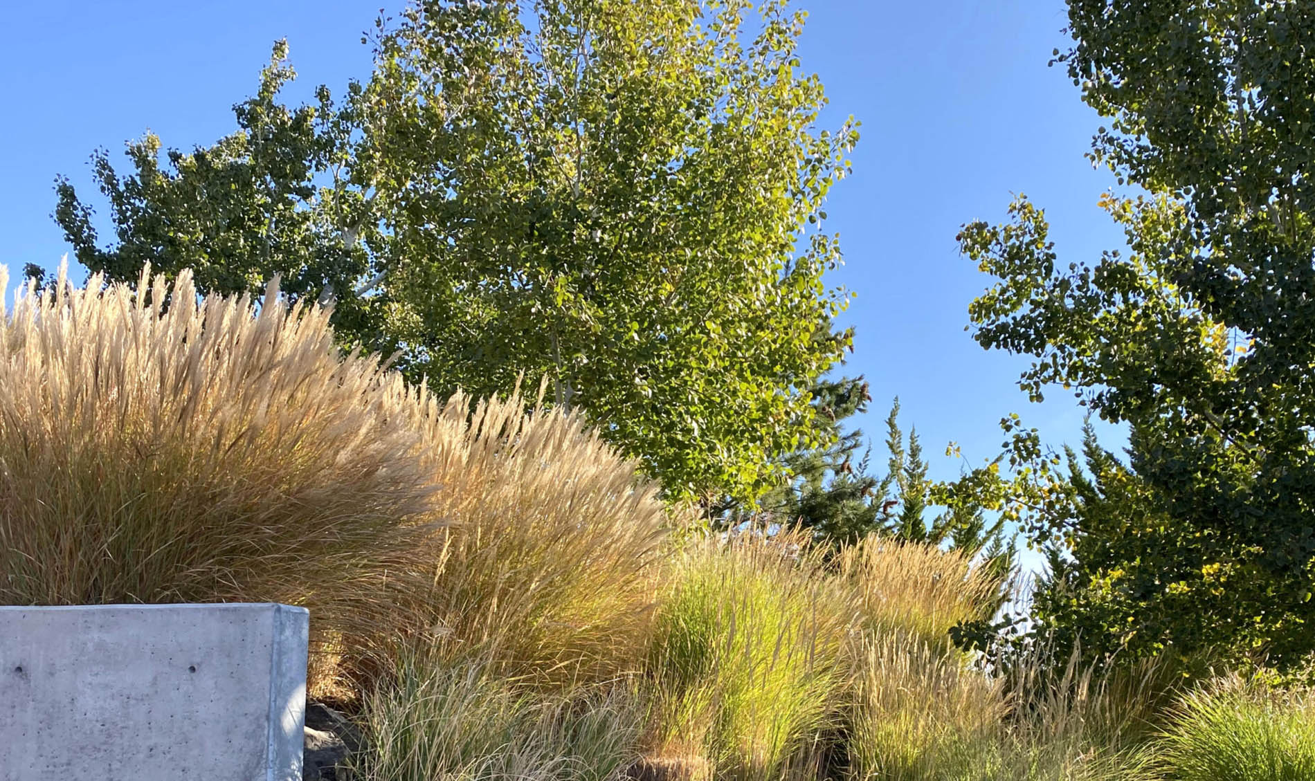 Landscape architecture project photo