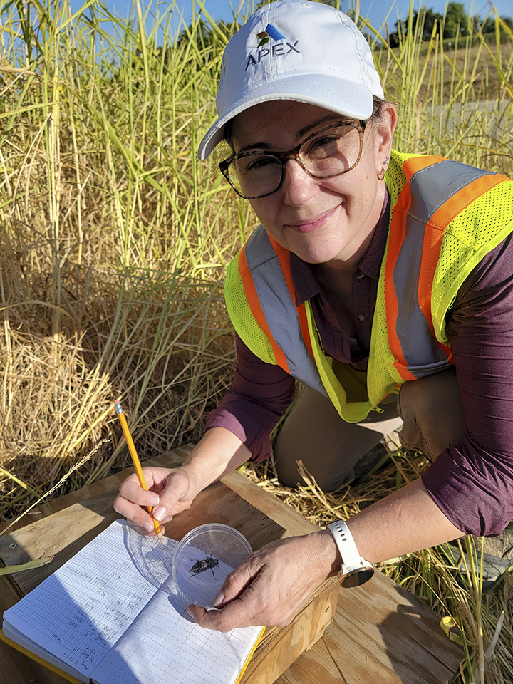 Dr. Amy Smith assessing impacts to the American burying beetle for a proposed transmission line through potential habitat